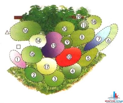 Cum să plantezi în mod corespunzător o grădină de înflorire continuă