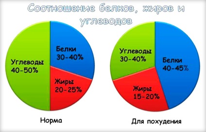 Cum se calculează bzhu pentru scăderea în greutate, raportul corect între proteinele grase și carbohidrații pentru pierderea în greutate