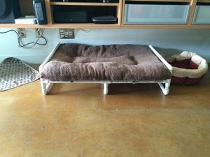 Hogyan készítsünk ágyat egy kutya számára