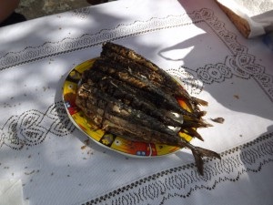 Cât de distractiv este să ai un picnic, cum ar fi ce