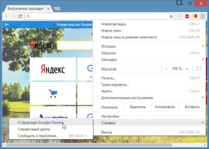 Cum se activează actualizările dezactivate de administratorul Google Chrome, probleme cu computerul