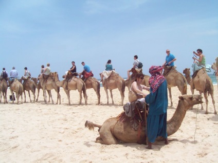 Camel lovaglás Egyiptomban