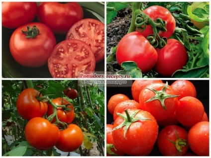Кога да засадят домати през 2017 г. Избраната дата е вярна!