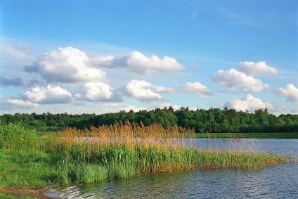 Lebedyansky Pond