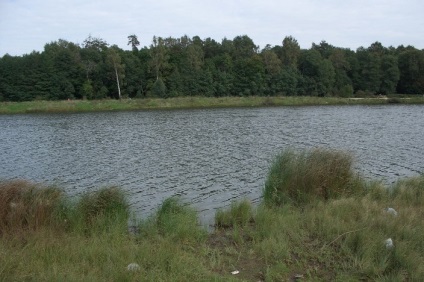 Lebedyansky Pond