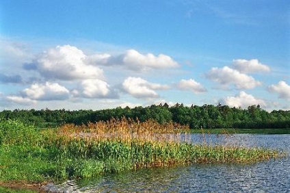 Lebedyansky Pond