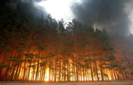 Erdőtüzek - Oroszország baj - az ökológia anyagai