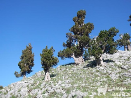 Calea Lycian