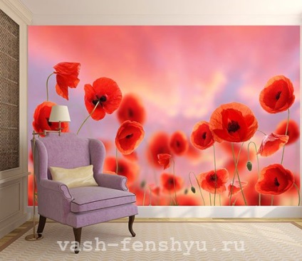 Poppies pentru Feng Shui - impact asupra vieții umane