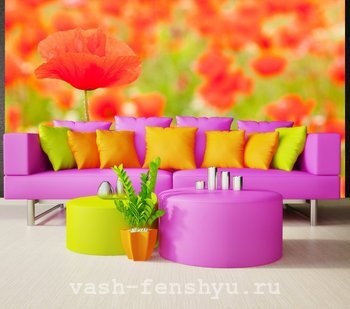 Poppies pentru Feng Shui - impact asupra vieții umane