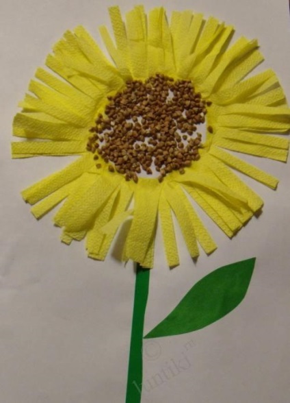 Mama pentru mamele de aplicare - floarea soarelui - și altele de semințe și croupă