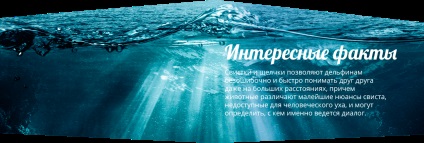 Sofiyarium - вода шоу, плуване с делфини, воден свят