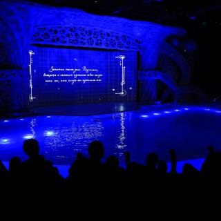 Sofiyarium - вода шоу, плуване с делфини, воден свят