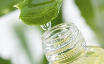 Aloe-i tinktúra mézzel alkoholos receptekkel, alkalmazással