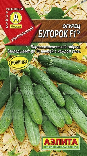 Uborka bugorok f1 ® vásárolni uborkák nagykereskedelmi és kiskereskedelmi gyártó