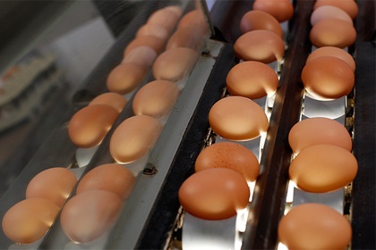 Az európai mérgezett tojások sújtotta a világ 15 ország politikai békét