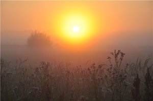 Vadászat egy kalapáccsal és kutyák nélkül - vadászatra Tatarstanban