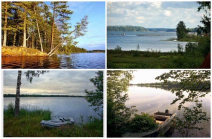 Lacul Velye, regiunea Novgorod