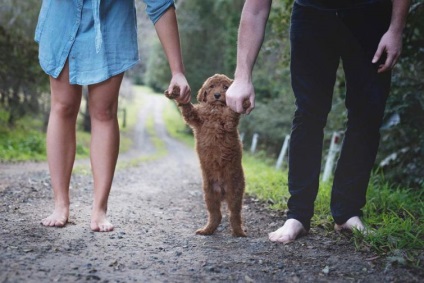 Cuplul a organizat o sesiune foto cu câinele lor ca un copil, astfel încât oamenii ar înceta să-i mai întrebe