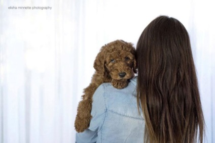 Cuplul a organizat o sesiune foto cu câinele lor ca un copil, astfel încât oamenii ar înceta să-i mai întrebe