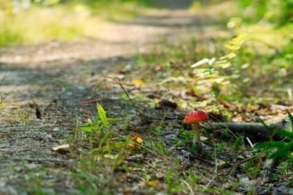 Spider, skorpió, kobra, aki erősebb forrása a jó hangulatnak