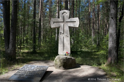 Персональний сайт Тетяни Шеломова