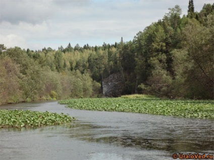 Peștera Katnikovo (katnikova, stalactit)