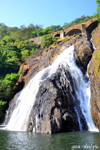 Plantația spice, cascada Dudhsagar și elefantul