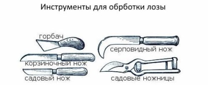 Плетіння з лози своїми руками, покрокова інструкція