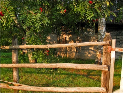 Excursie la lac în satul Balyevo