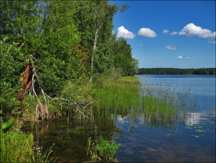 Excursie la lac în satul Balyevo