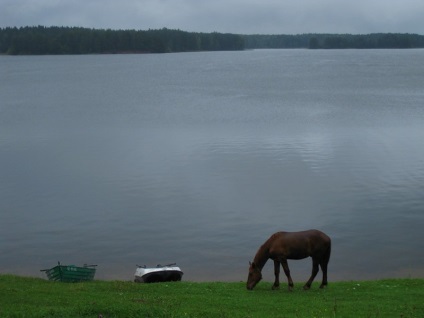 Excursie la lac în satul Balyevo