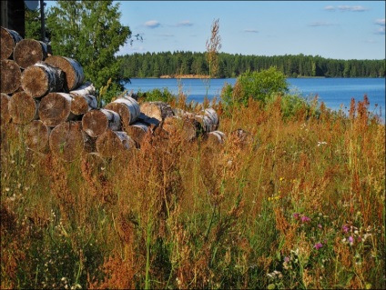 Excursie la lac în satul Balyevo