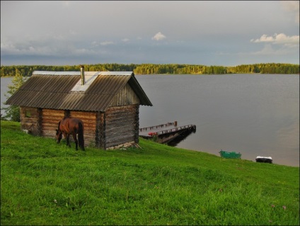 Excursie la lac în satul Balyevo