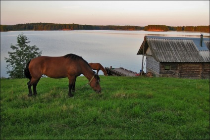 Excursie la lac în satul Balyevo