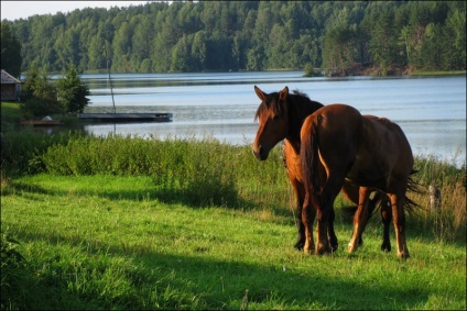 Excursie la lac în satul Balyevo