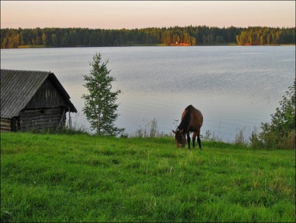 Excursie la lac în satul Balyevo