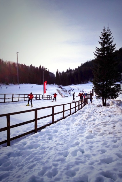 Pokljuka este un centru de schi de clasă mondială