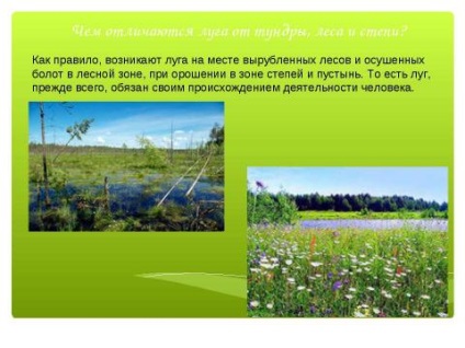 Prezentare geografică pe tema expansiunilor fără copaci ale Rusiei