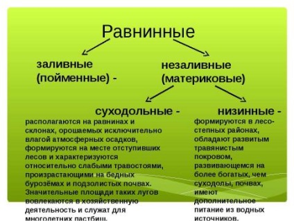 Prezentare geografică pe tema expansiunilor fără copaci ale Rusiei