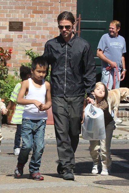 Motivele pentru care Angelina Jolie este crescută cu Brad Pitt, câine Schrodinger