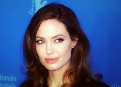 Motivele pentru care Angelina Jolie este crescută cu Brad Pitt, câine Schrodinger