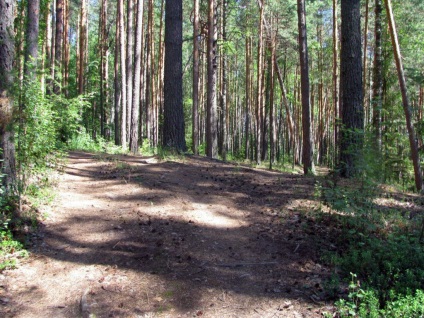 Utazás a tó kudarcához (chevanih) 2013 júniusában, natív Vyatka