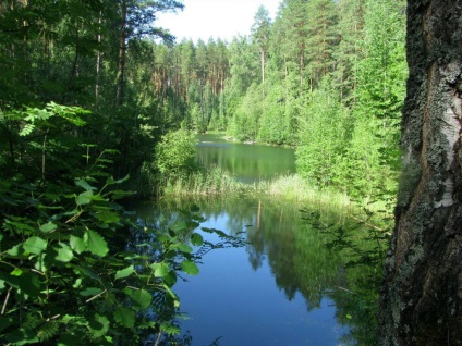 Utazás a tó kudarcához (chevanih) 2013 júniusában, natív Vyatka