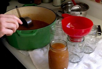 Instant Apple Puree