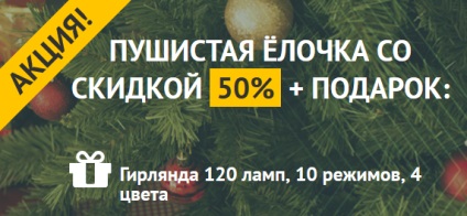 Reteta pentru gatit dovlecel prăjit cu brânză și usturoi, subiecte fierbinți