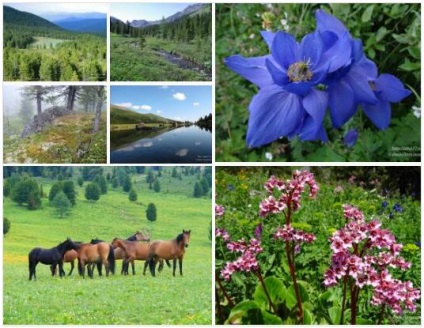 Pescuit în muntele Altai