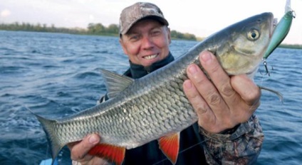 Pescuitul în regiunea Saratov cele mai bune locuri