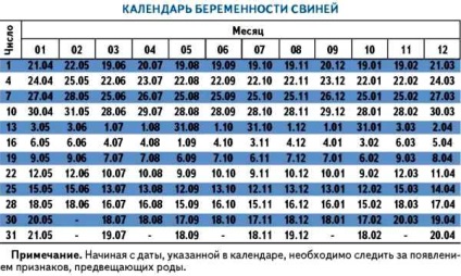 Cât durează porcul însărcinat - media