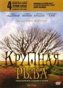 Vizionați aventurierii filmului (1967) online gratuit în hd de bună calitate